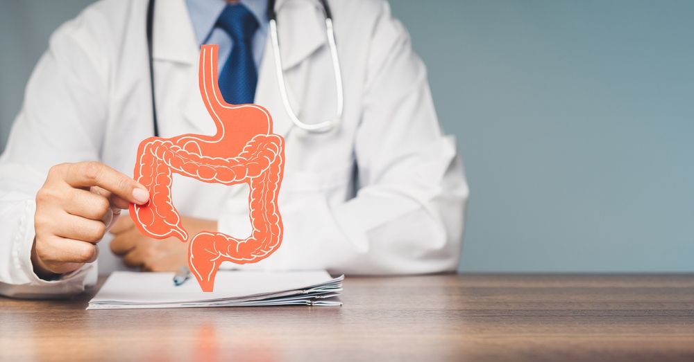 Treatment and prevention of constipation and diarrhea. Doctor holding a intestine symbol made from red paper while sitting in the hospital. Intestinal microflora and probiotics