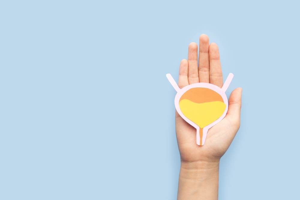 Woman hands holding bladder organ shape made from paper on light blue background. Awareness of bladder cancer, urinary tract infection, urinary incontinence and overactive bladder.