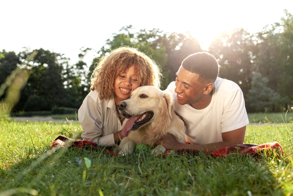 african american guy with girl lie together with golden retriever in the park in summer, young couple walks and plays with dog in nature, happy family with pet
