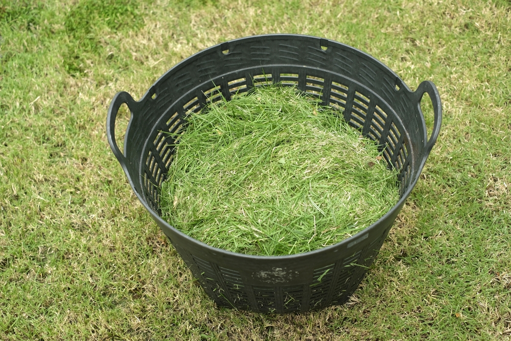 grass clippings in the basket