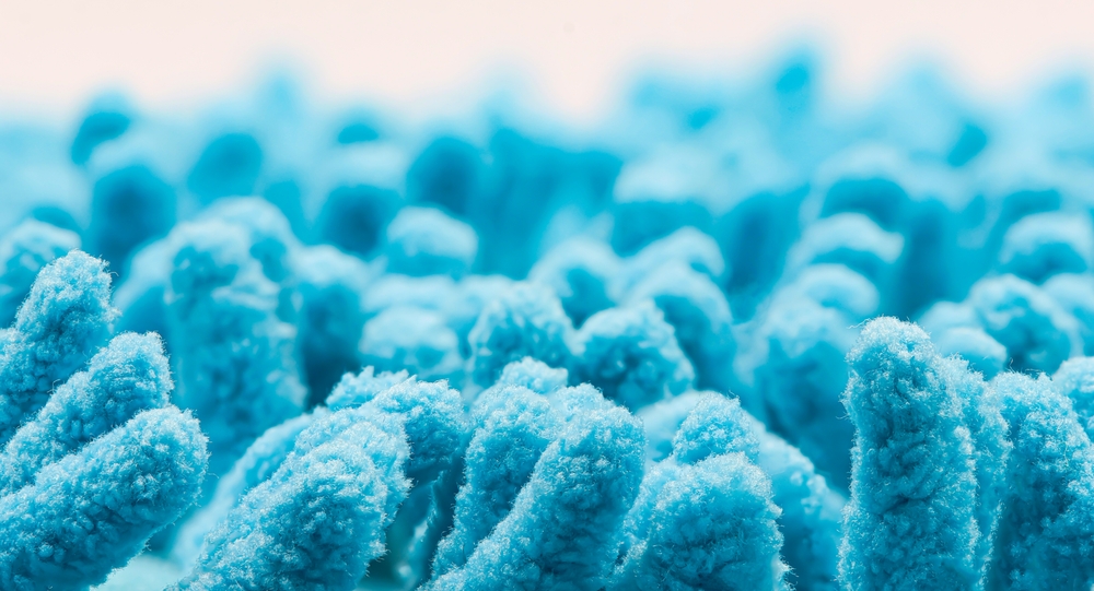 Intestine in hands. Microbiome of digestive system. Probiotic treatment. Probiotic cells for immunity. Digestive health. Studying action of probiotics. Microflora of intestinal tract
