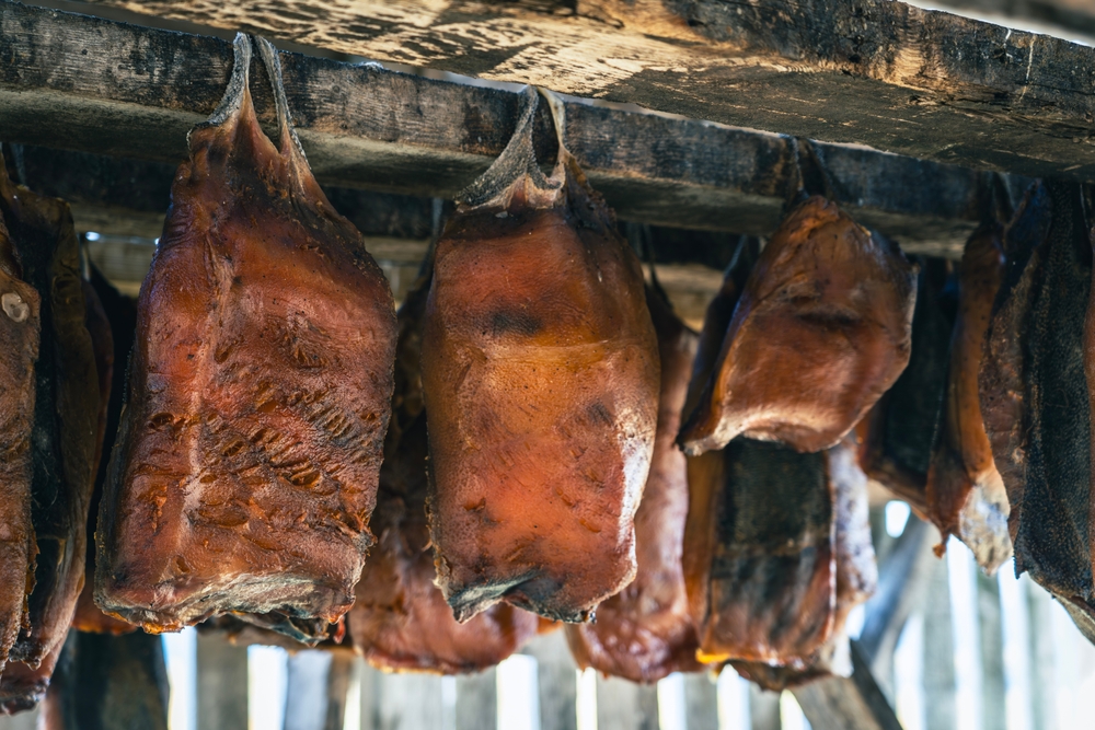 Hákarl, fermented shark, hanging to dry. Rotting Greenland fish meat in a shed in Iceland. Fermentation process, extreme odor and taste of ammonia. Traditional Icelandic food.