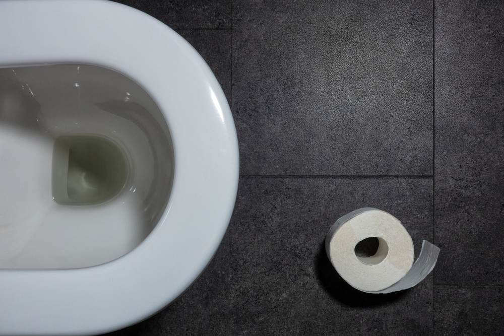 Top view of a toilet. Visible is a fragment of a white toilet, toilet paper and a dark grey floor. Flatlay. Background. Blank.