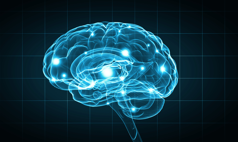 Concept of human intelligence with human brain on blue background
