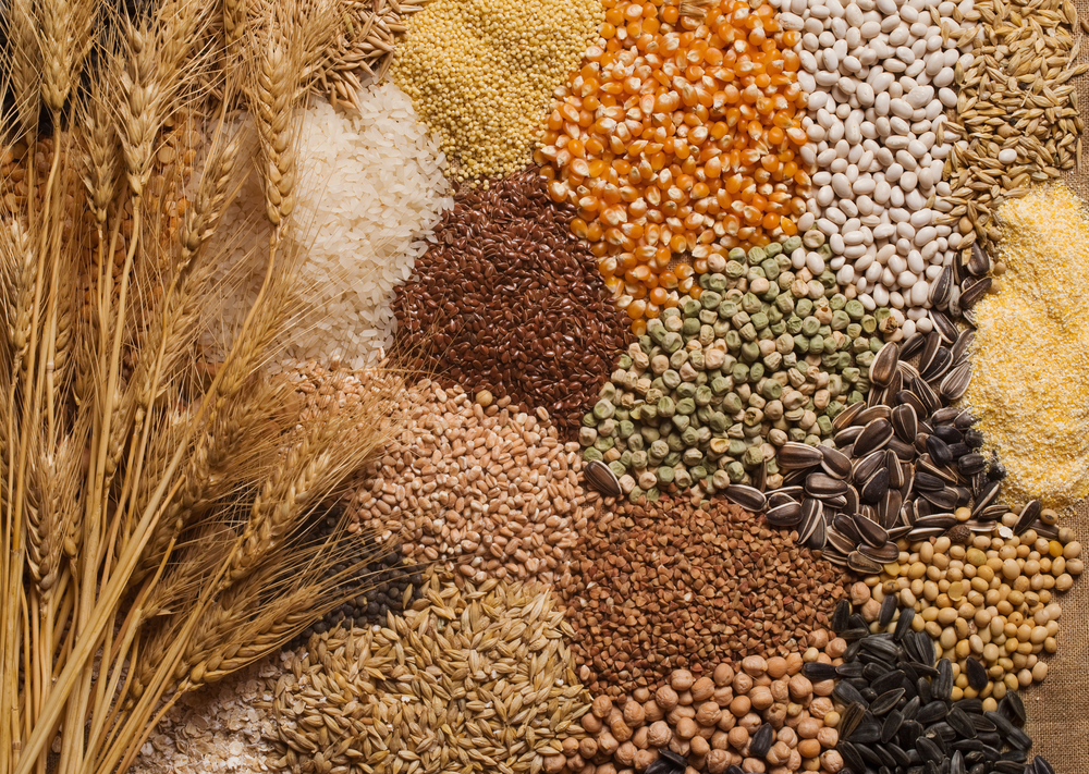 Cereal grains , seeds, beans