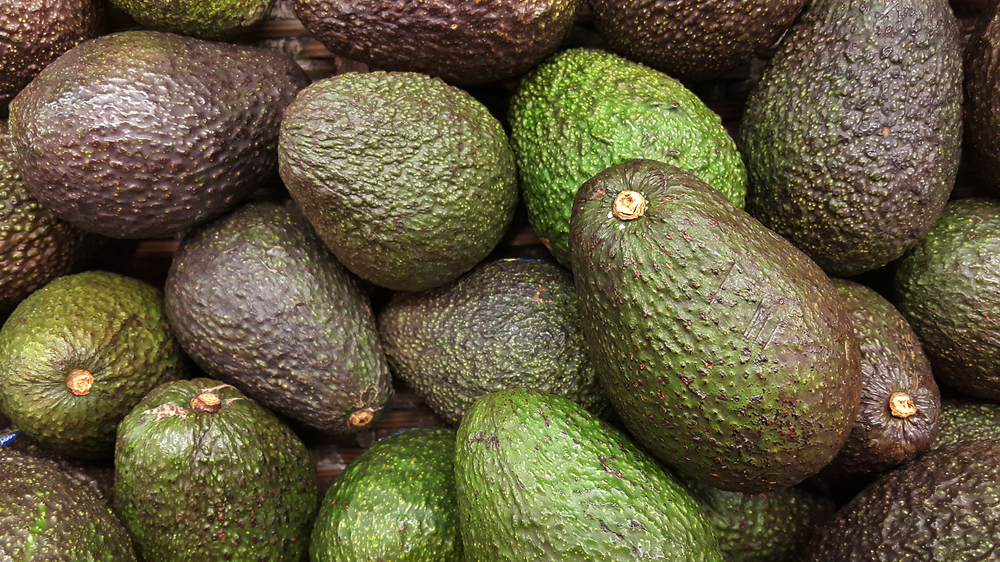 Avocado also refers to the Avocado tree's fruit, which is botanically a large berry containing a single seed. Avocados are very nutritious and contain a wide variety of nutrients.