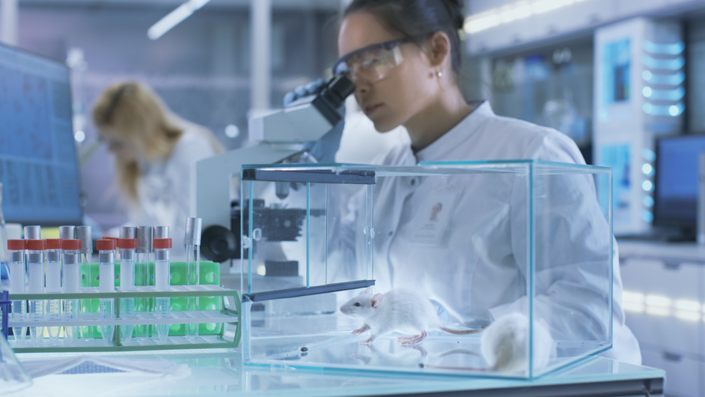 Medical Research Scientist Examines Laboratory Mice and Looks on Tissue Samples under Microscope. She Works in a Light Laboratory.
