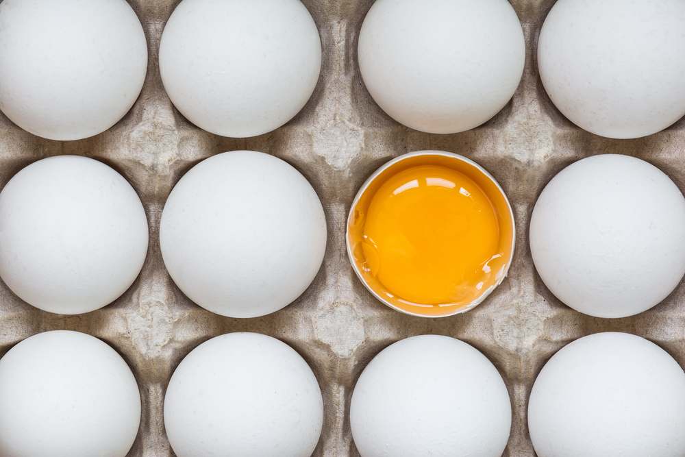 Chicken egg is half broken among other eggs