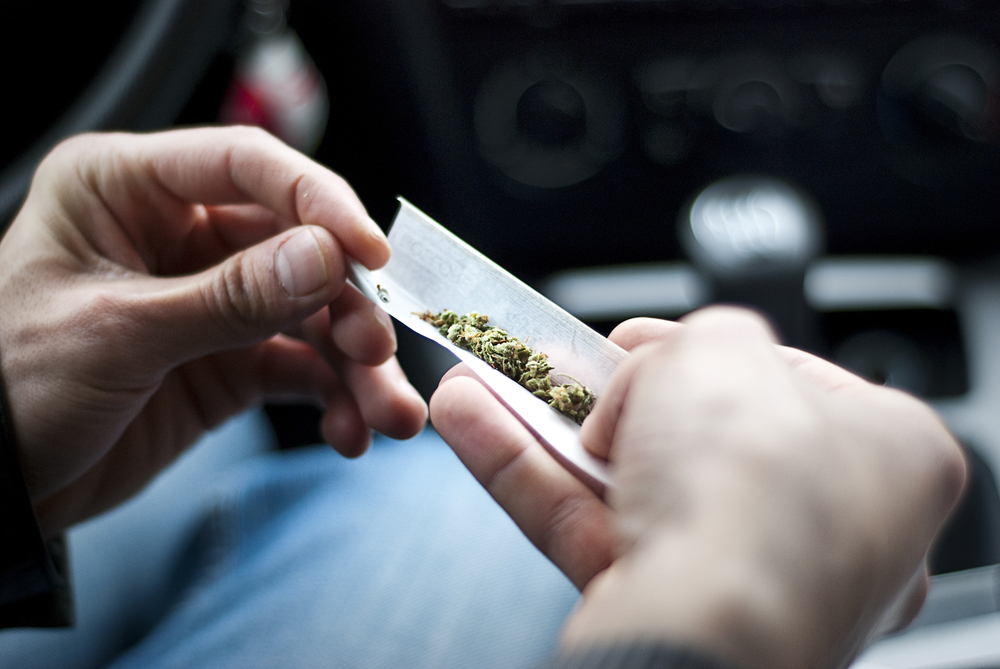 man making joint and a stash of marijuana narcotics in the car