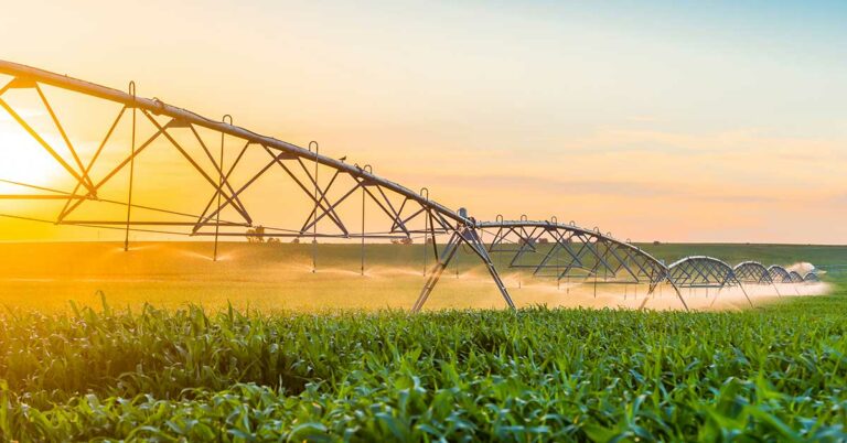 Teens Invent Device To Combat Crop Failure - Featured image