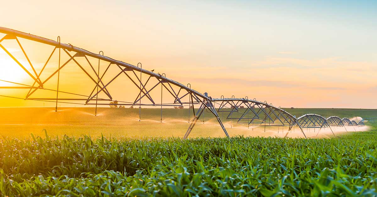 Teens Invent Device To Combat Crop Failure