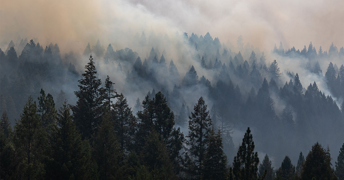 People Are Dying Prematurely From An Overlooked Source, and It Could Be In The Air You Breath