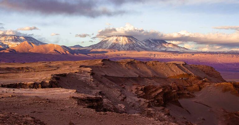 The Atacama Desert is The Driest Place On Earth, Surprises With Very Rare Winter Bloom - Featured image