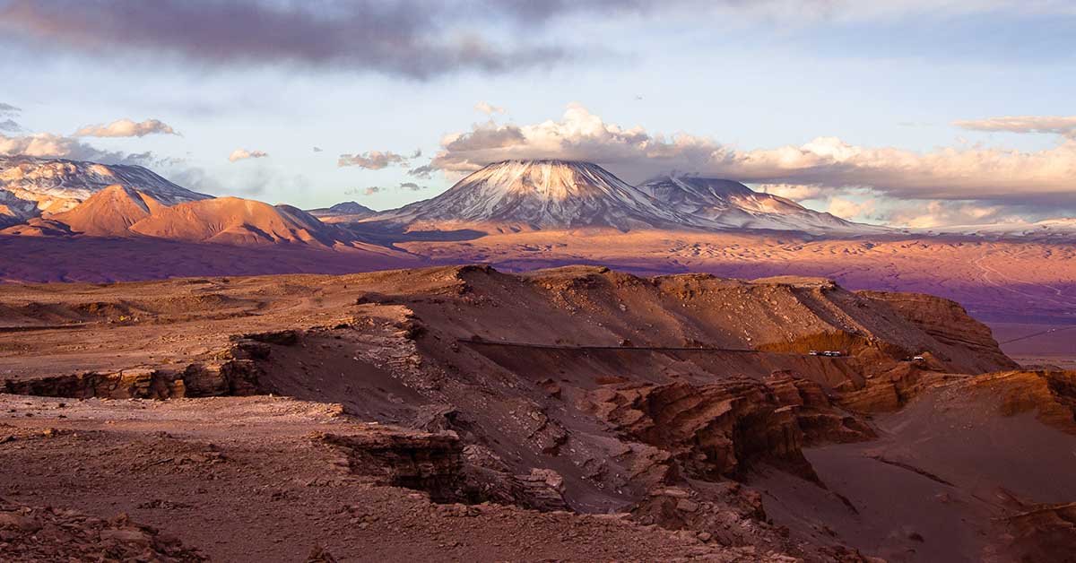 The Atacama Desert is The Driest Place On Earth, Surprises With Very Rare Winter Bloom