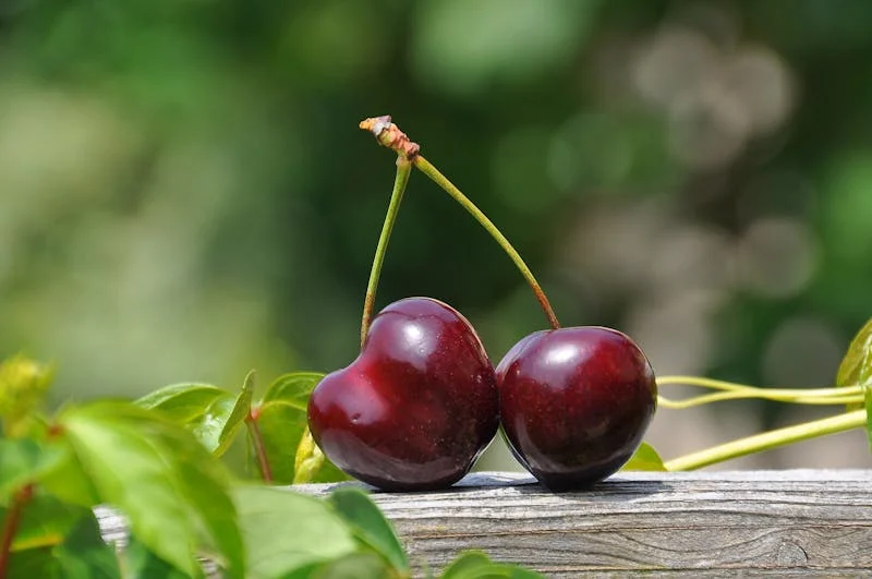 Two cherries of different sizes