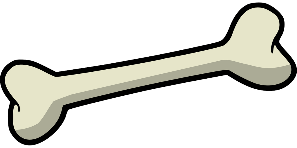 a bone