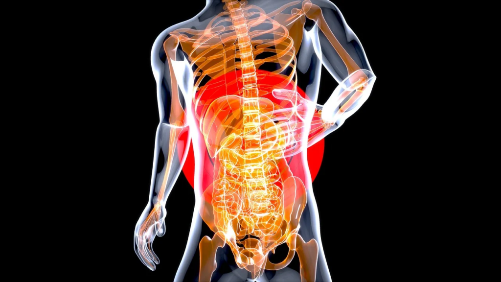 pain coming from the stomach