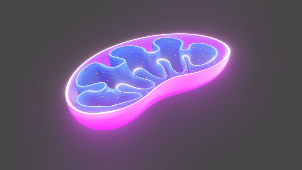 cutaway view of a cell