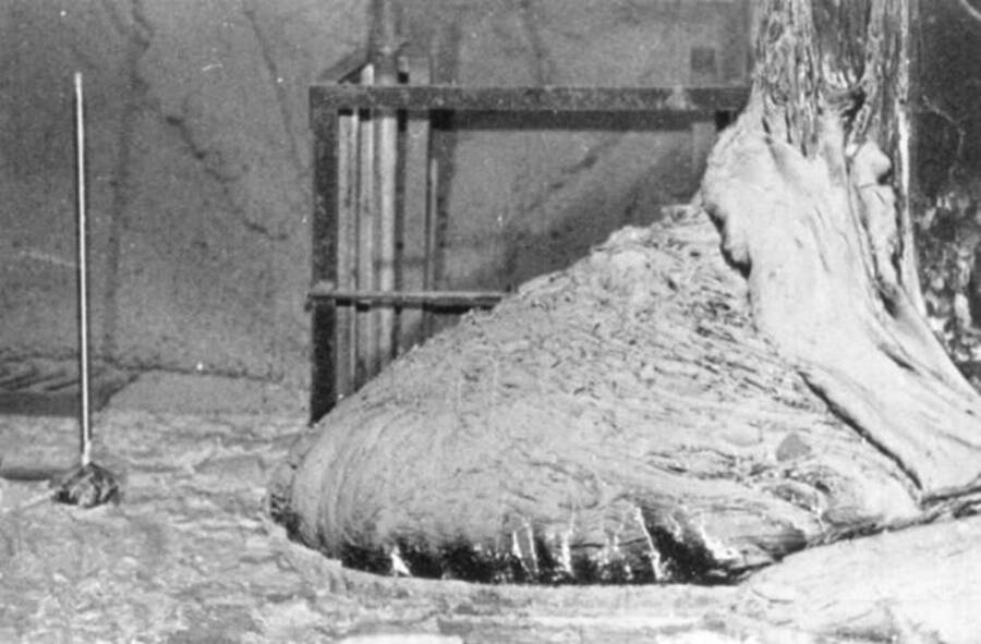 The lava-like mass is a mixture of nuclear fuel, sand, concrete, and other materials through which it melted.