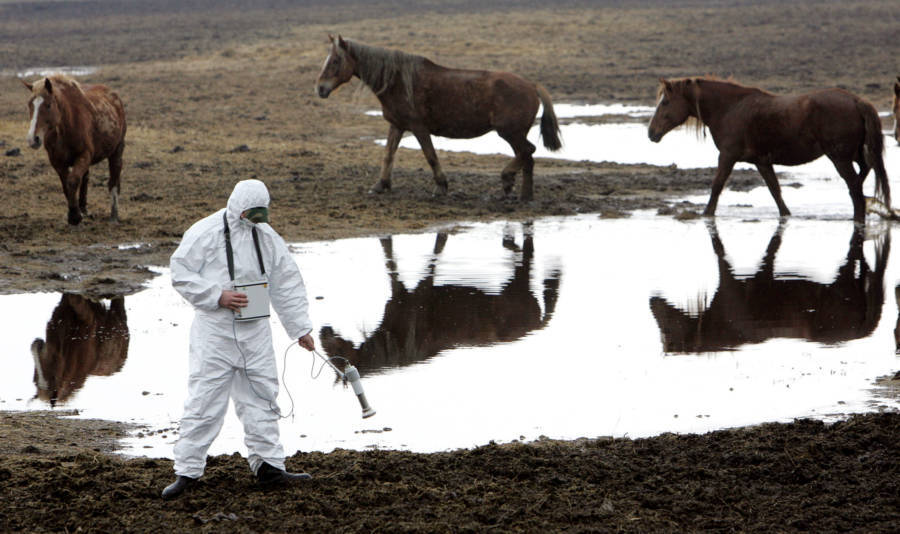 An employee for the Belarussian radiation ecology reserve measures the level of radiation inside the Chernobyl exclusion zone.