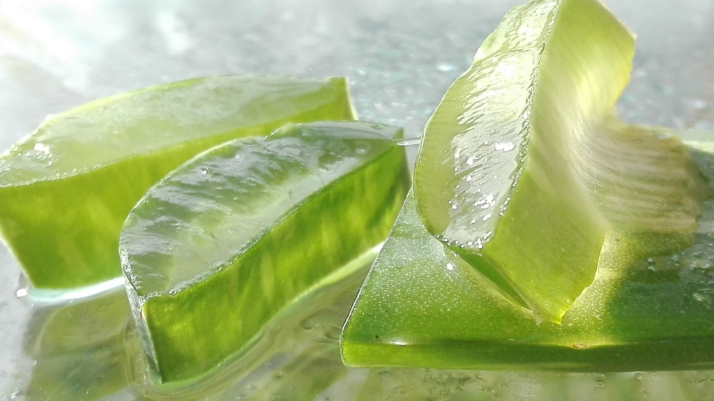 what can't aloe vera do?