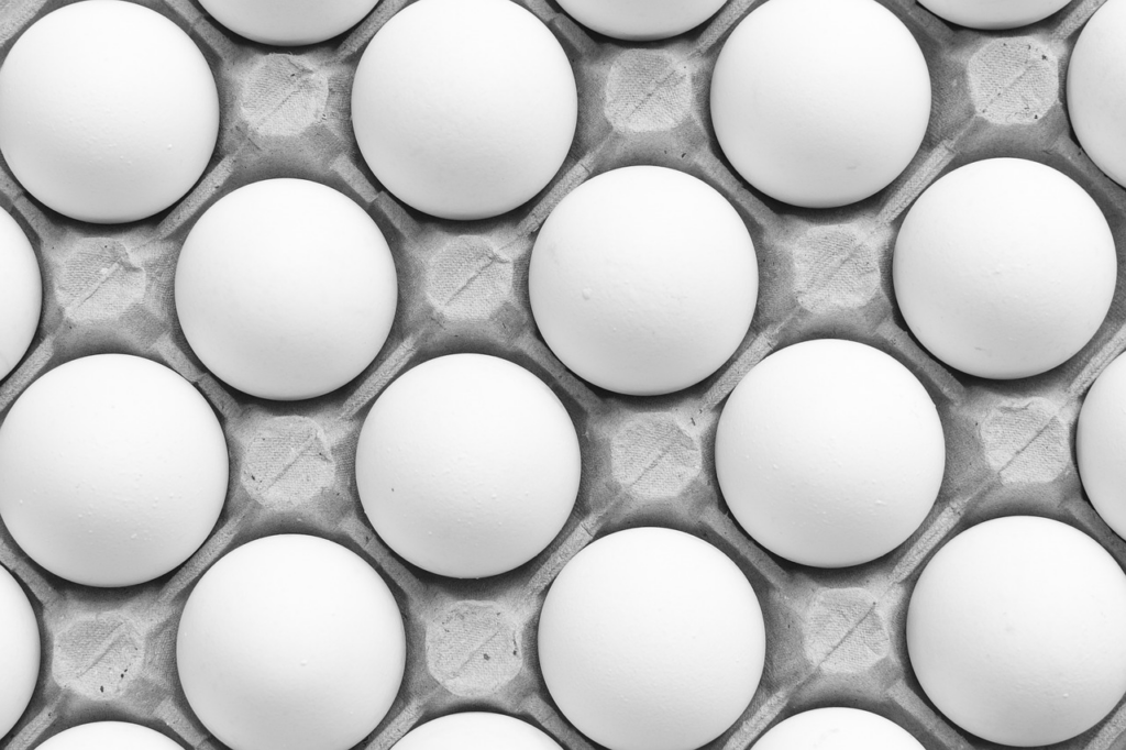 Eggs in a carton