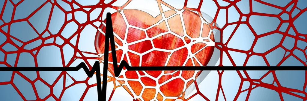 your arteries and veins are key to your health