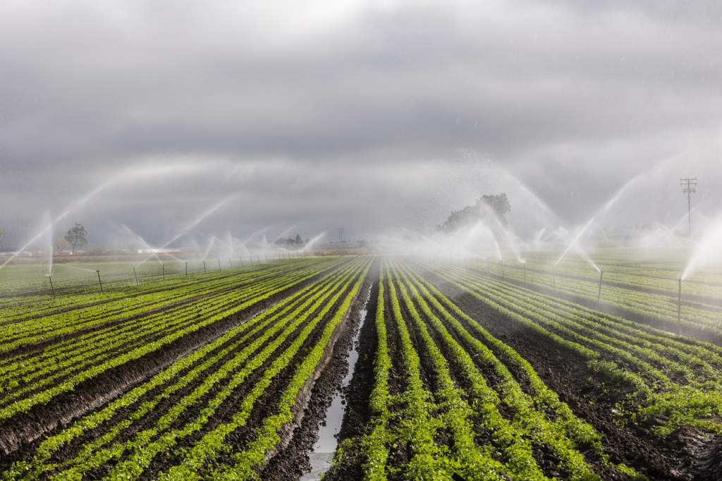 irrigation system in full force