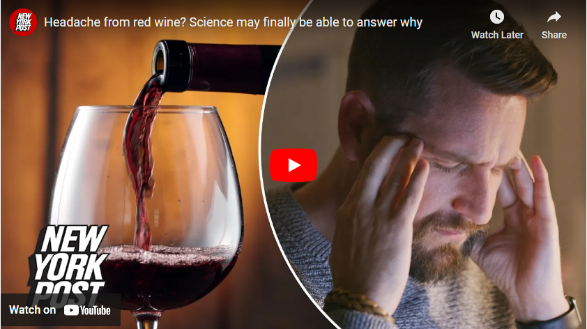 red wine headache youtube