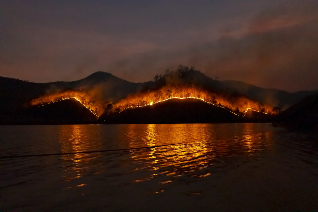Wildfires near the water