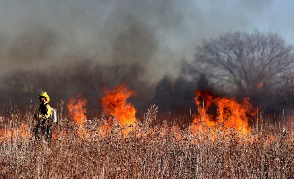 firefighter attempting to control a blaze