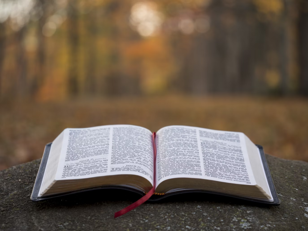Book in a forest