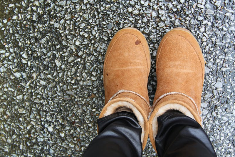 Have to keep hilly feet bundled up