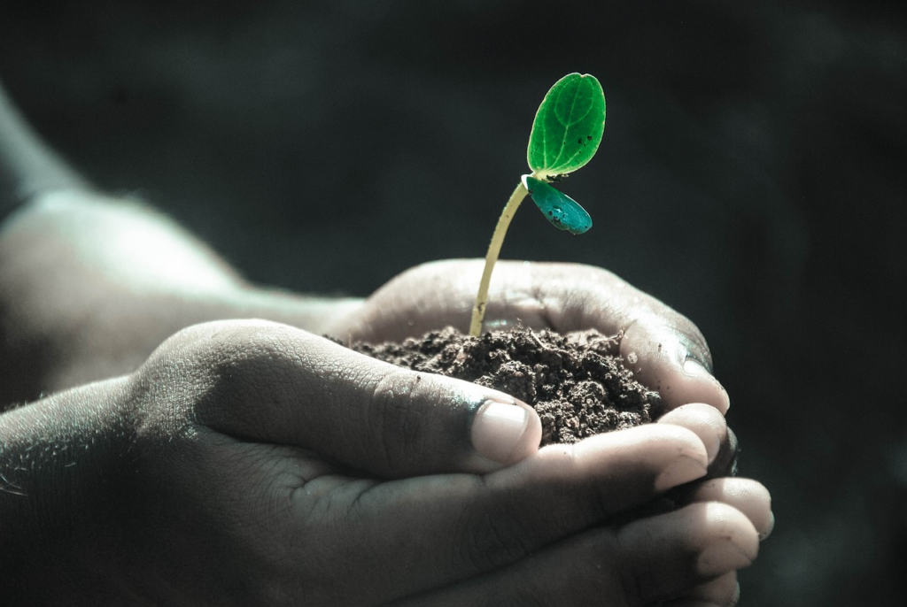 we have a new, clearer idea of how life began now