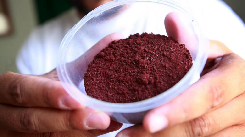 Carmine was first used by the Maya and Aztecs