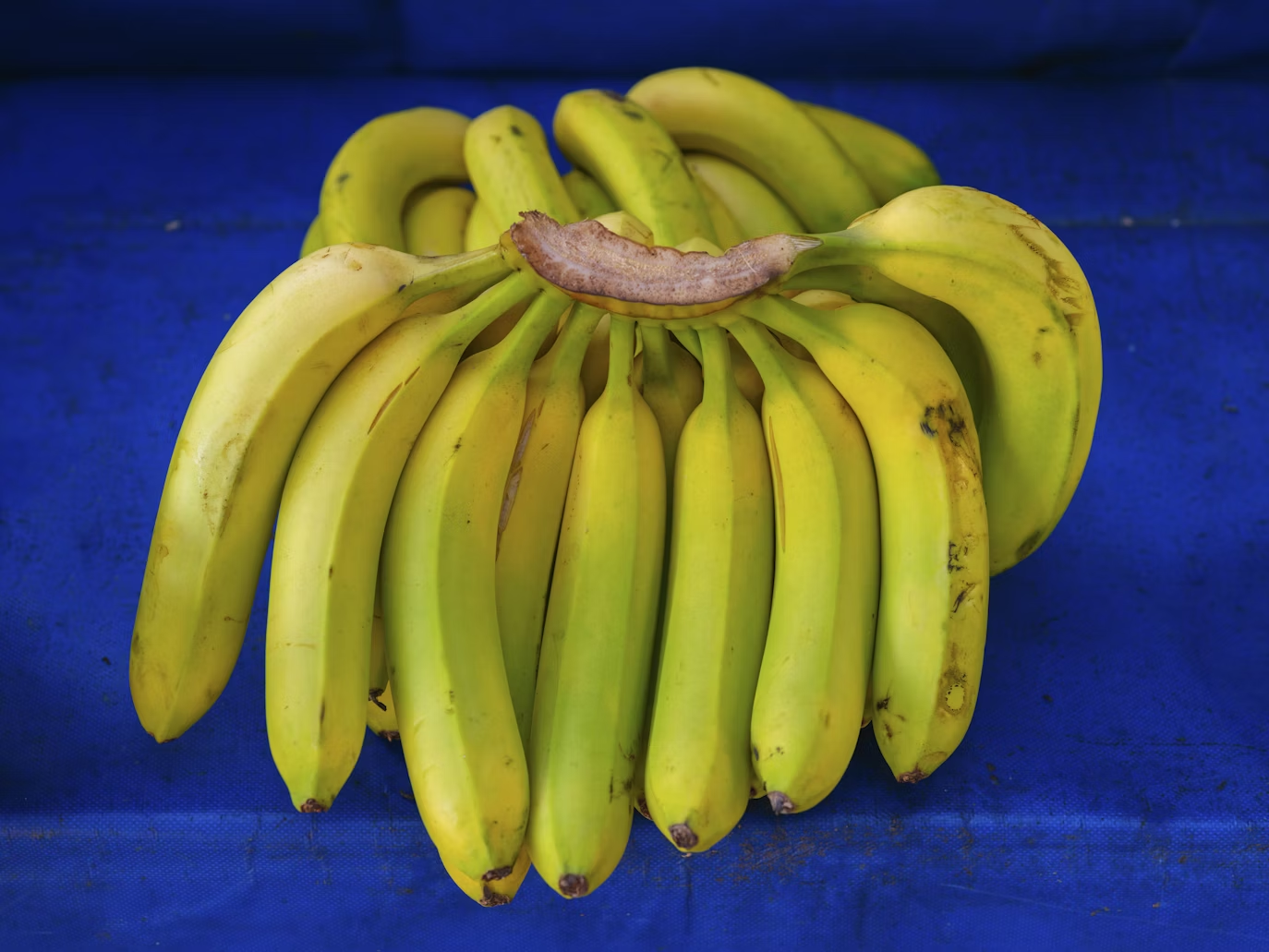 Bananas