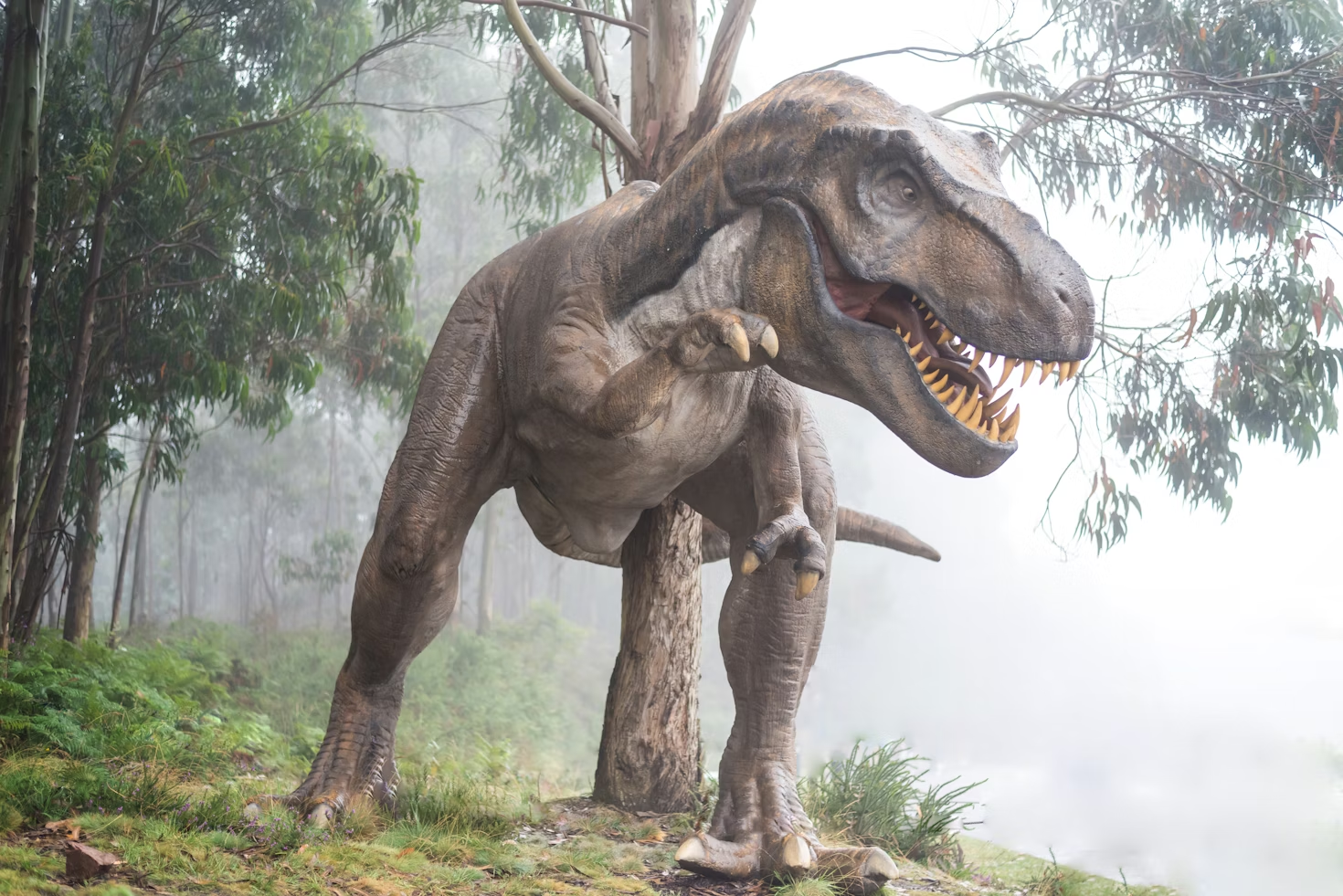 Artist's rendition of a T-Rex