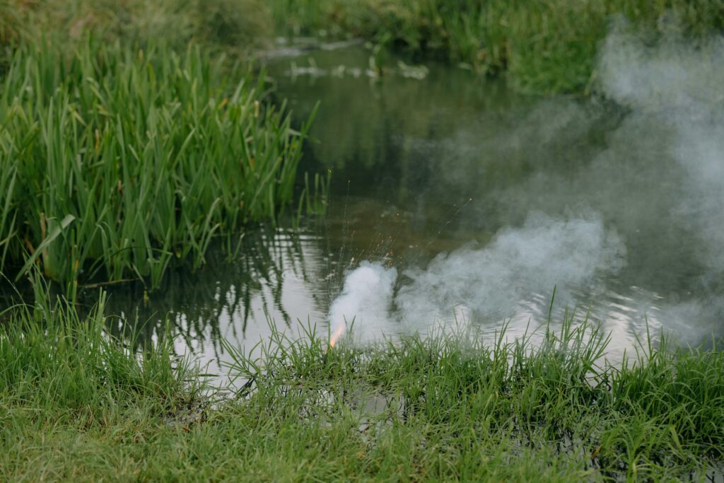 Bog