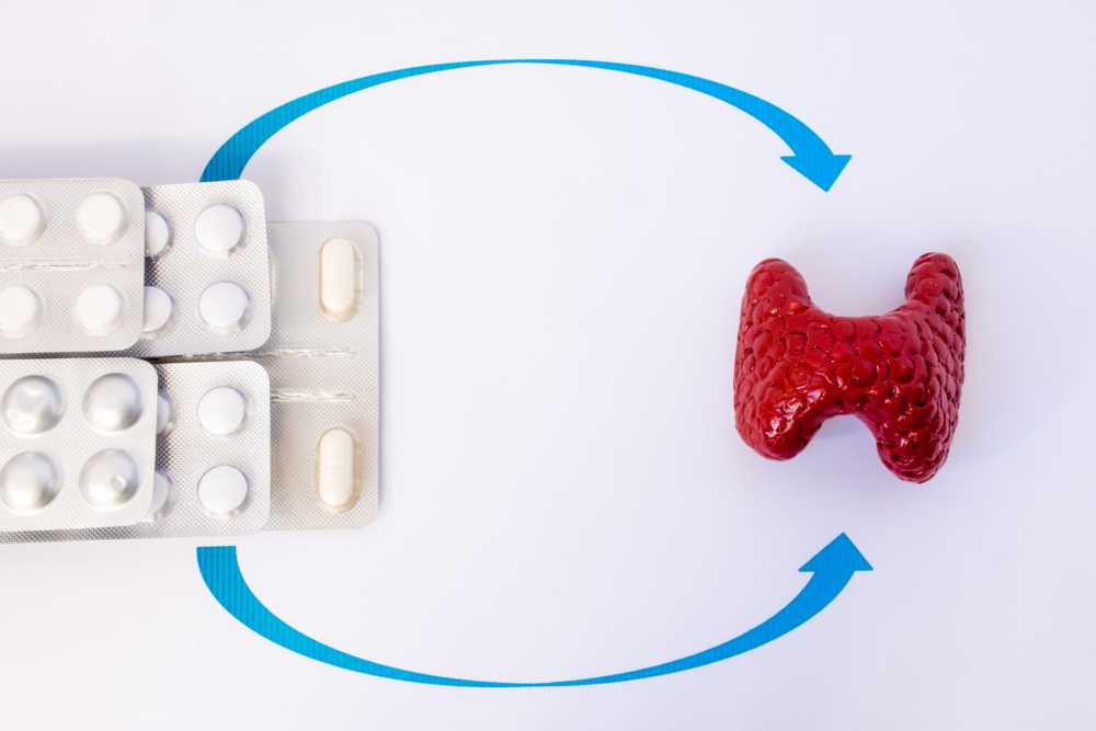 Hormone replacement therapy of thyroid or hypothyroidism concept photo. Model of thyroid gland is close to drugs in blisters on which arrows are drawn to organ, symbolizing hormone replacement
