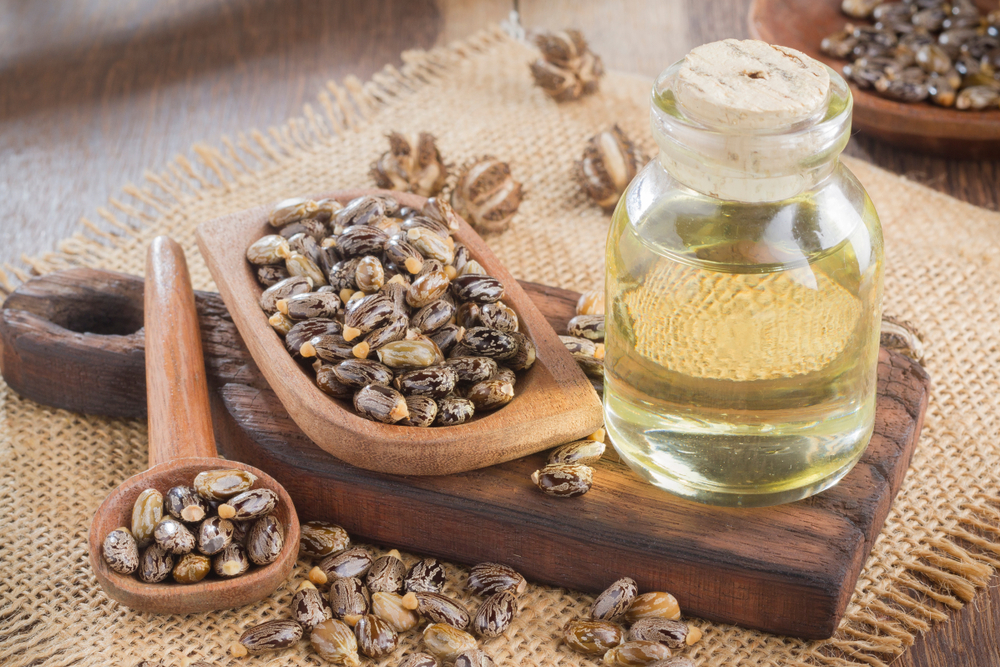 seeds and castor oil on the wooden table - Ricinus communis