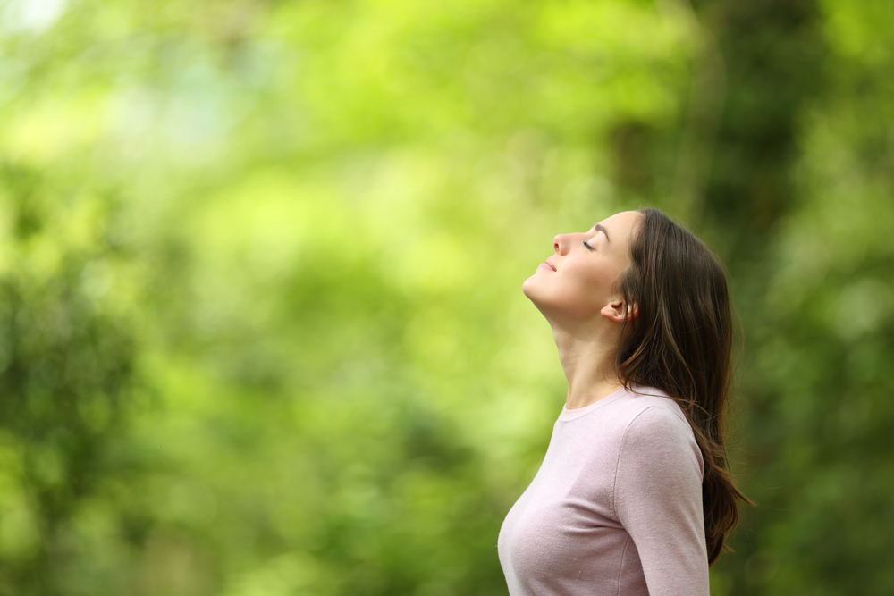 Profile of a relaxed woman breathing fresh air in a green forest
