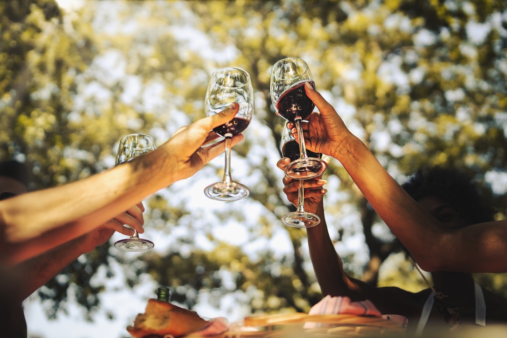Group of young friends celebrating friendship rising hands holding red wine glasses in the countryside at the picnic
