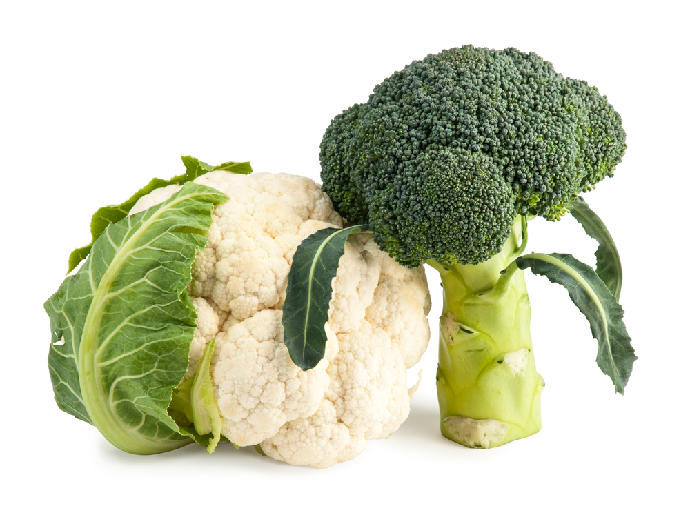 Fresh Broccoli and Cauliflower isolated on white
