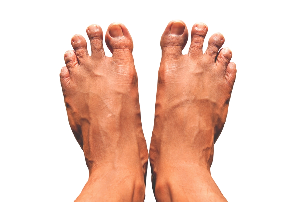 two foot isolated on white background.
