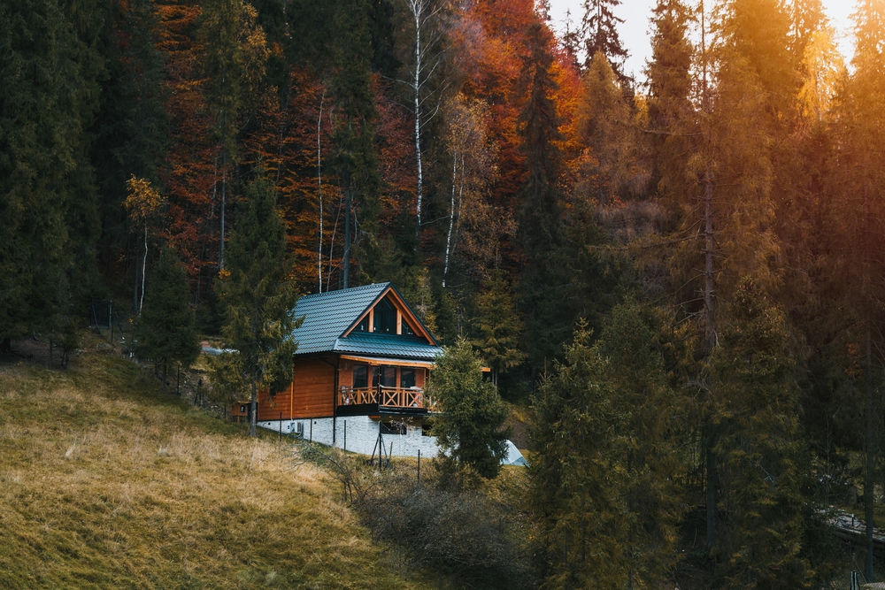 Off-grid modern cabin house. Living in the silence of nature. A cozy home nestled at the forest edge with a detailed wooden window accentuating its architectural beauty.
