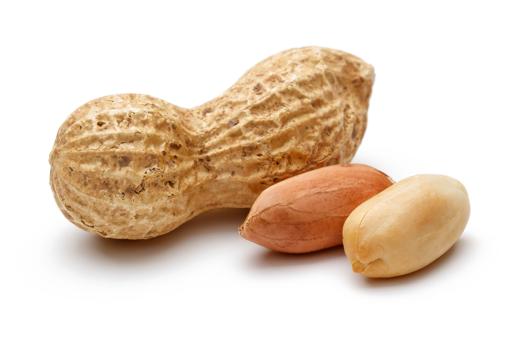 Peanuts isolated on white background

