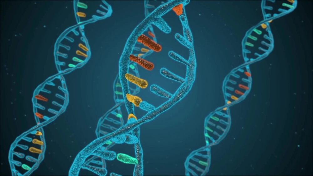 Abstract animated structure of a DNA molecule from particles. Concept animation of digital DNA, human genome. Medical research, genetics
