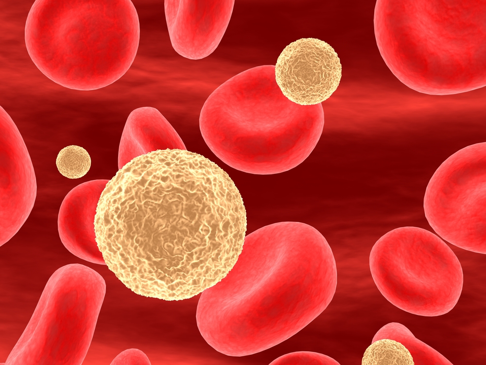t-, killer cells
