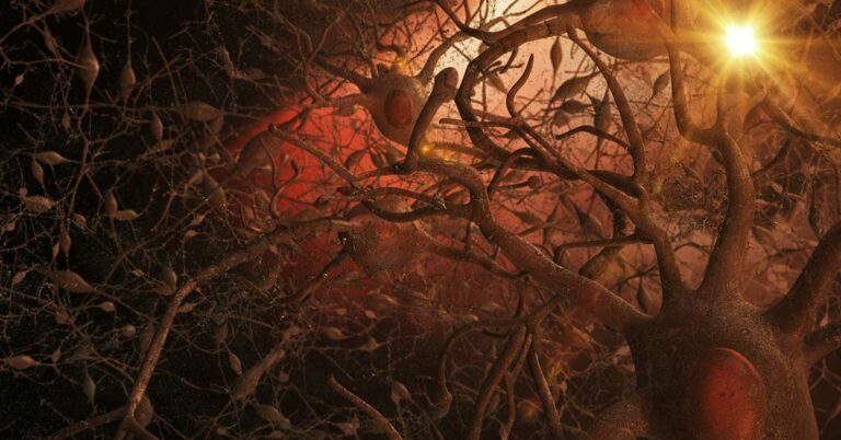 First Ever Recording Of Dying Human Brain Shows Possible “Life Recall” Activity - Featured image