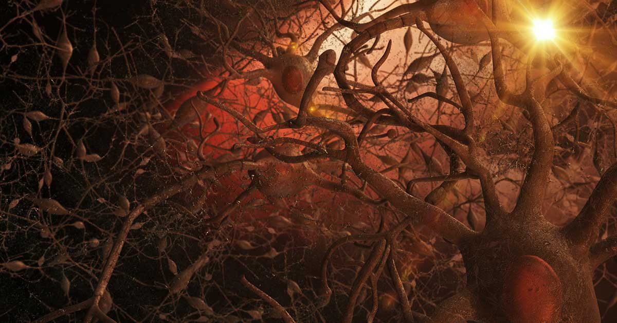 First Ever Recording Of Dying Human Brain Shows Possible “Life Recall” Activity